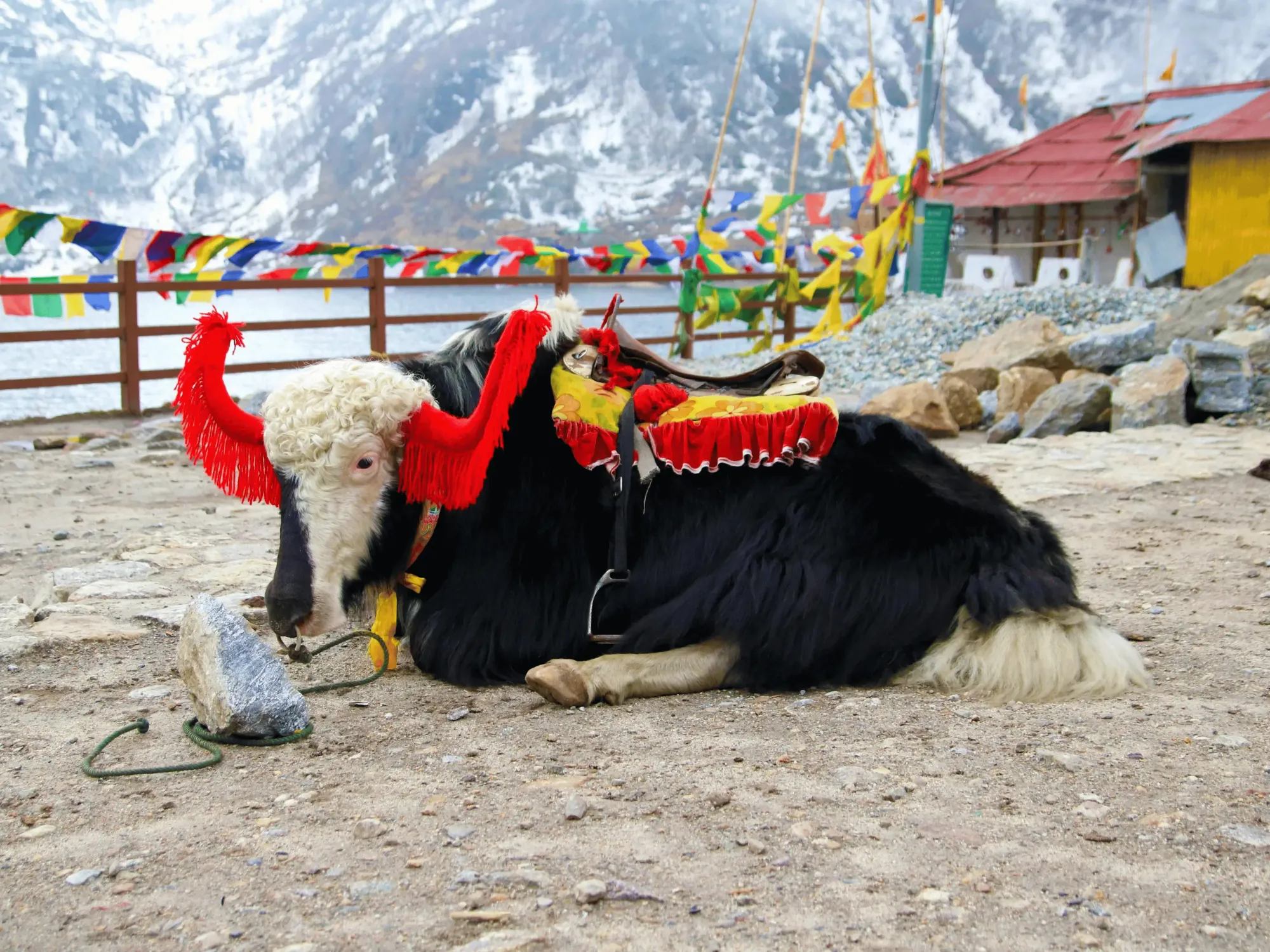 Sikkim