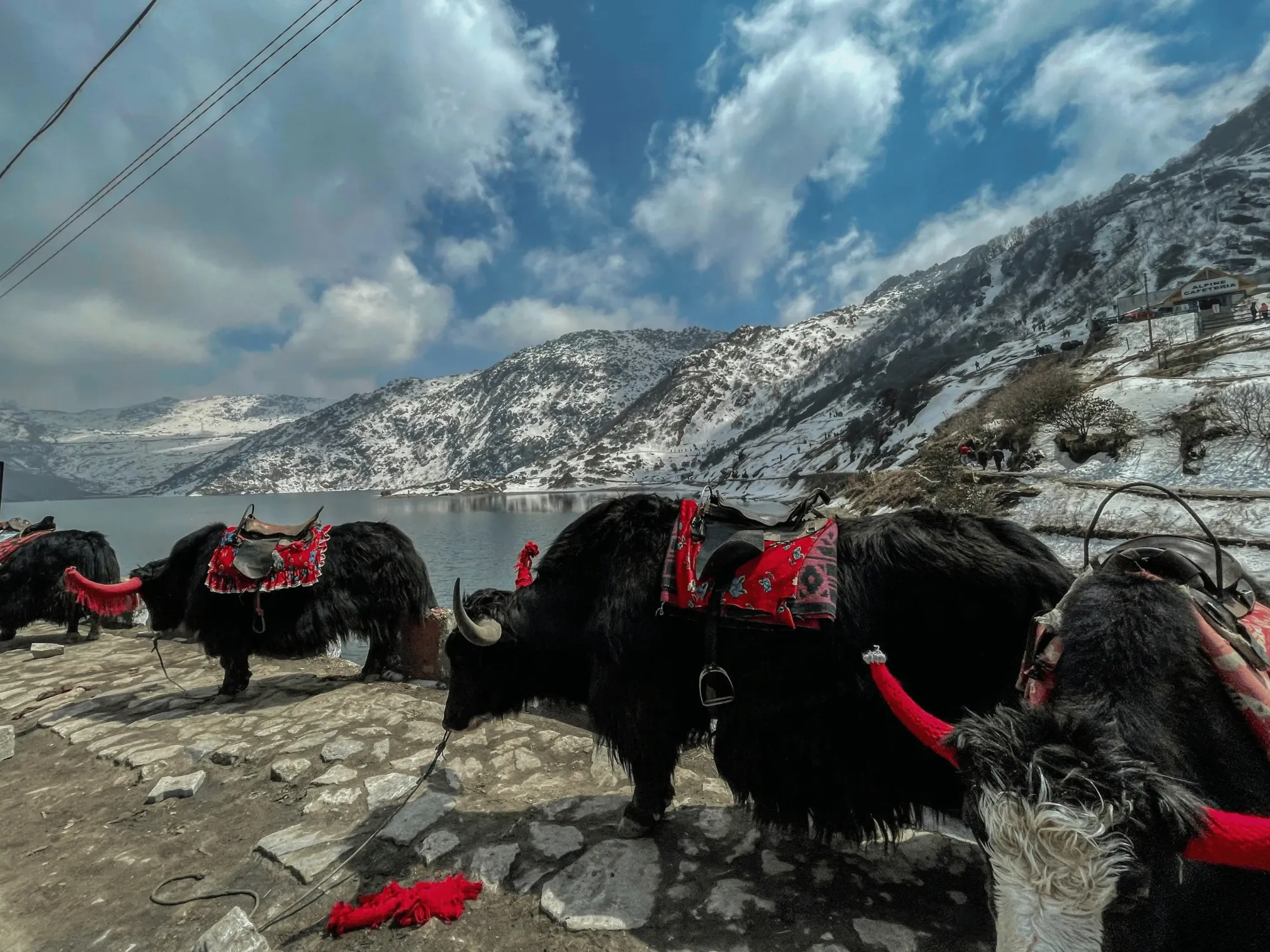 Sikkim